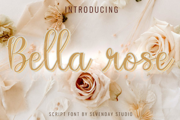 Bella Rose: The Script Font for Modern Brands
