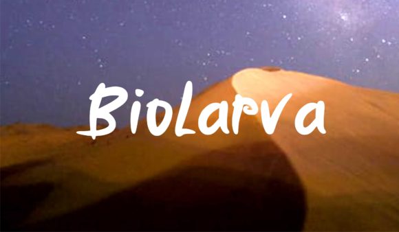 Biolarfa: A Natural Display Font for Editorial Design