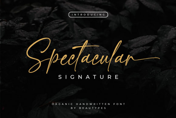Spectacular Signature Font for Crafters